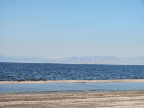 Salton Sea Area - 2015-2020 PHOTOS